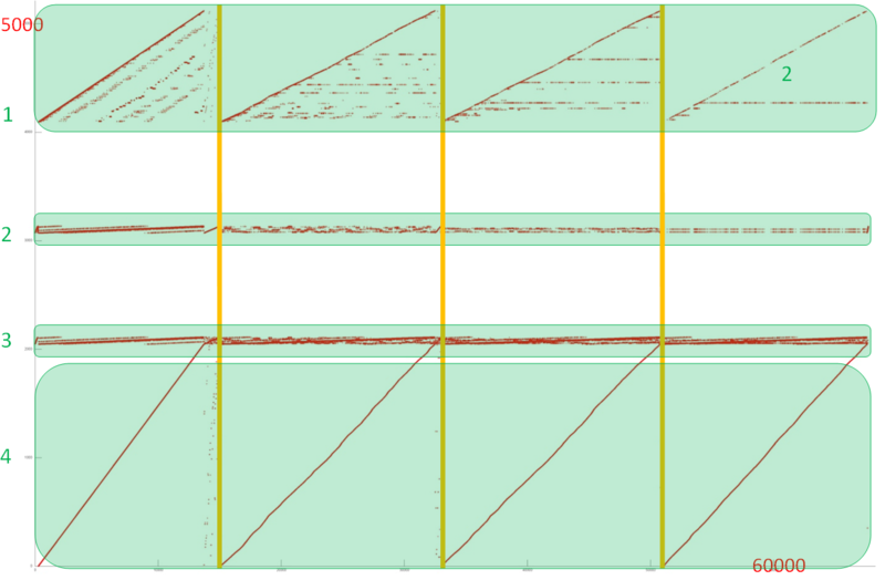 Файл:Boruvka 1.png