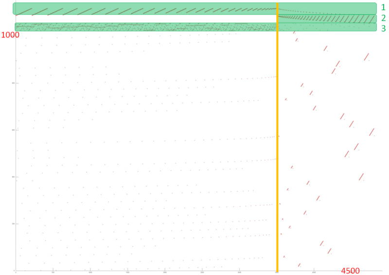 Файл:Gauss back 1.PNG