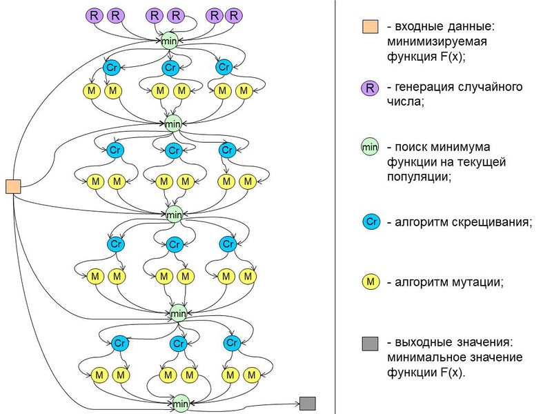 File:Graph genetic.jpg