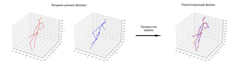 Файл:Procrustes 2.png