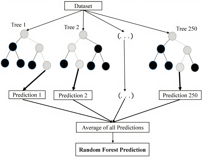 Файл:Matfu graph CART.png